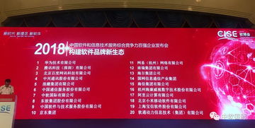 中软国际跻身百强第七，彰显软件服务综合实力